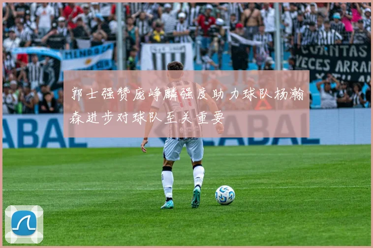 郭士强赞庞峥麟强度助力球队杨瀚森进步对球队至关重要